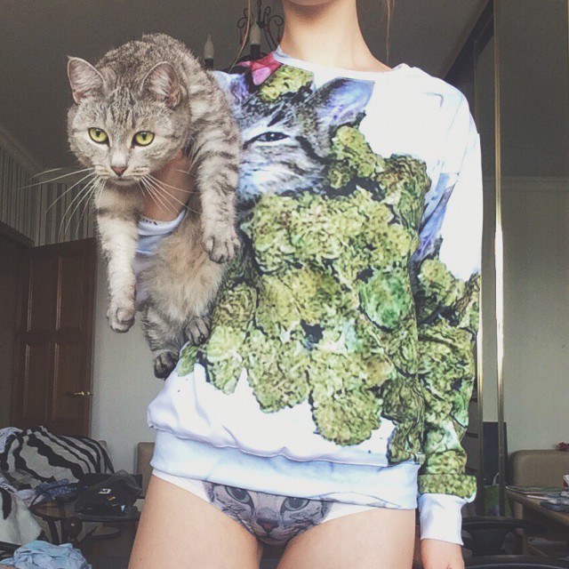 Картинки и приколы из сети