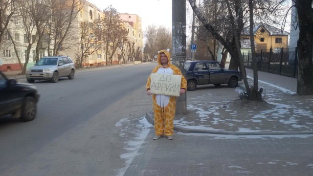 На каких машинах ездят ЯПовцы