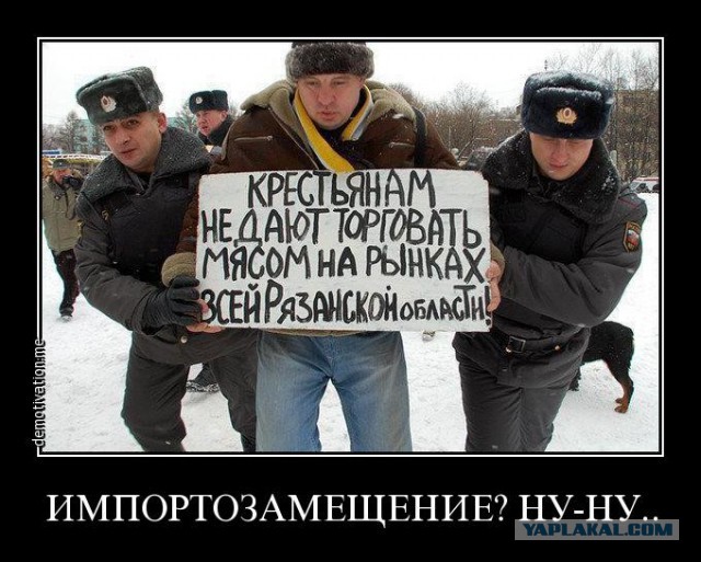 Просто хорошие и добрые новости из России за неделю