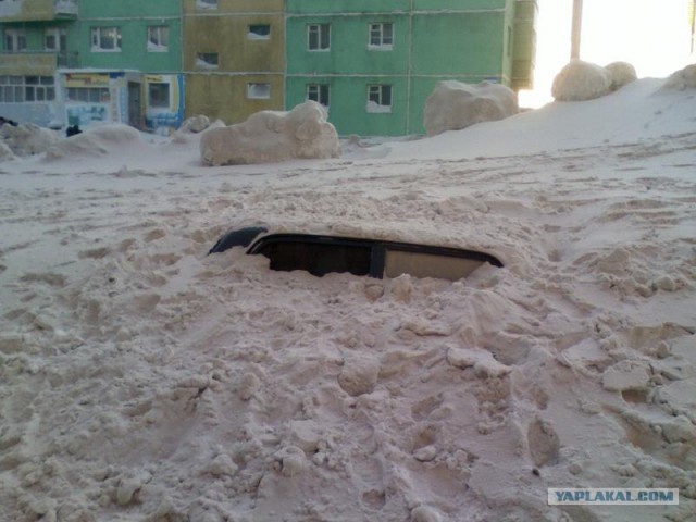 Подснежники гробы. г. Норильск