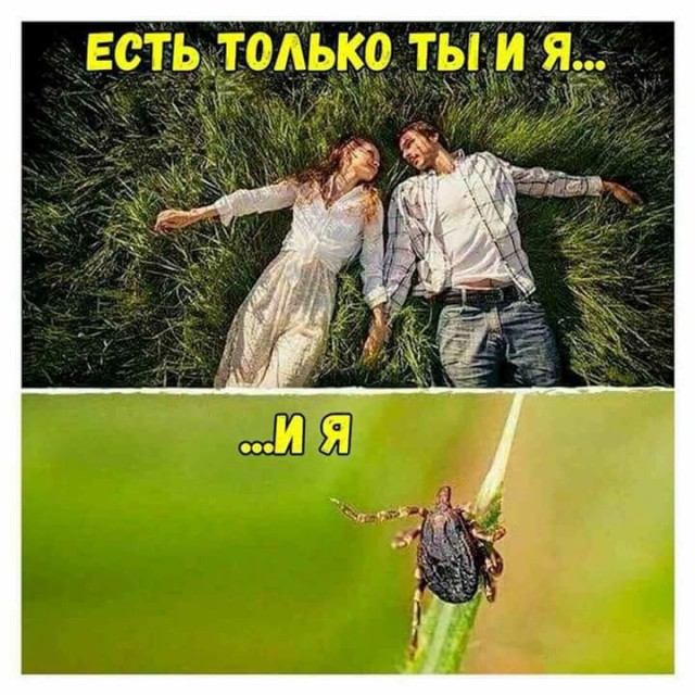 Эти твари уже во дворах городов