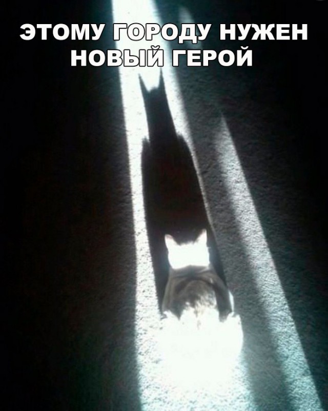 Нестандартный юмор