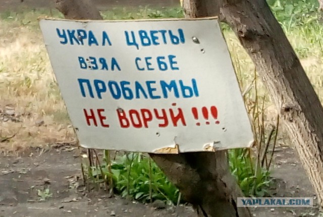Объявления