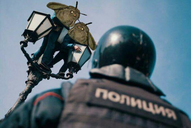 Картинки юморные и тексты 11.10