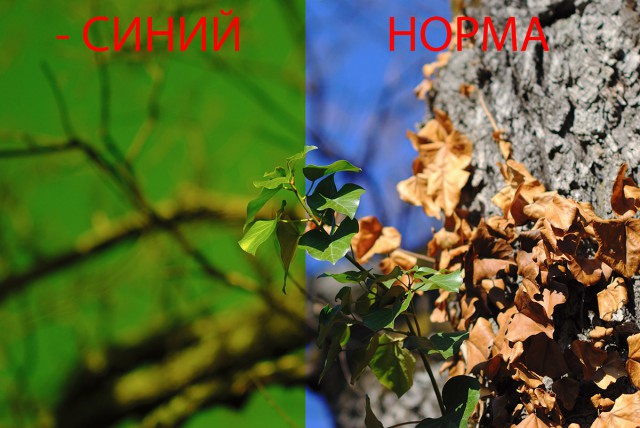 Тема про реальный цвет Луны! И НАСА-жуликов