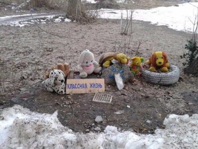 WTF: что тут происходит?