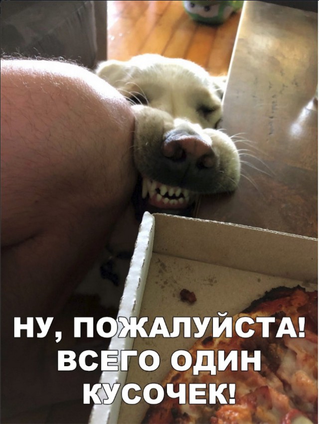 Нестандартный юмор
