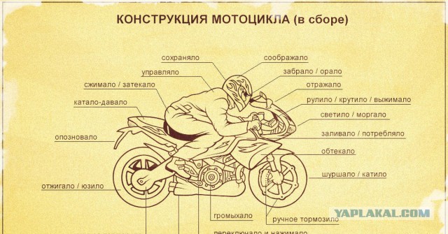 Физик Митио Каку верит в существование Бога