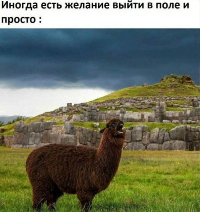 Немного картинок для настроения