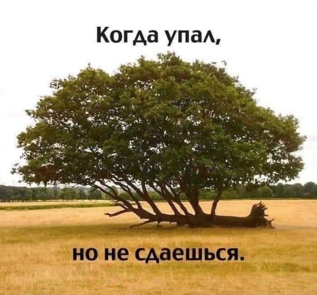 Подборка интересных и веселых картинок 23.08.19