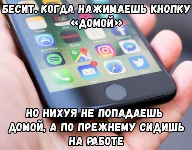 13407761.jpg