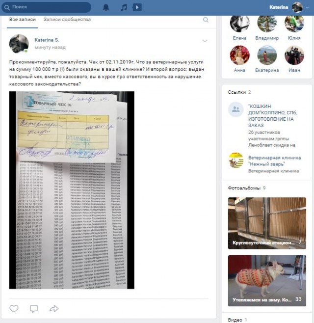 Помогите вернуть кота! Приют "Преданное сердце" украл кота и не отдает!-2