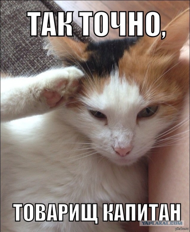 "Расчет окончен!"