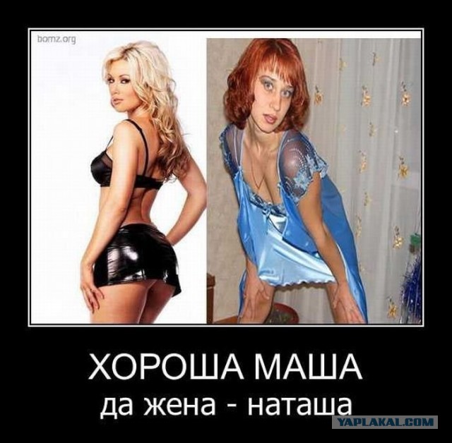 В сеть слили теребайты данных сервиса OnlyFans — на нём публикуются платные интимные фото и видео