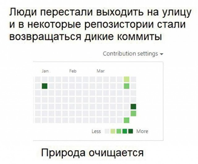 Немного картинок для настроения 11.04.20
