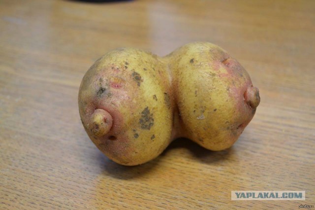 Мой личный опыт Аленизма