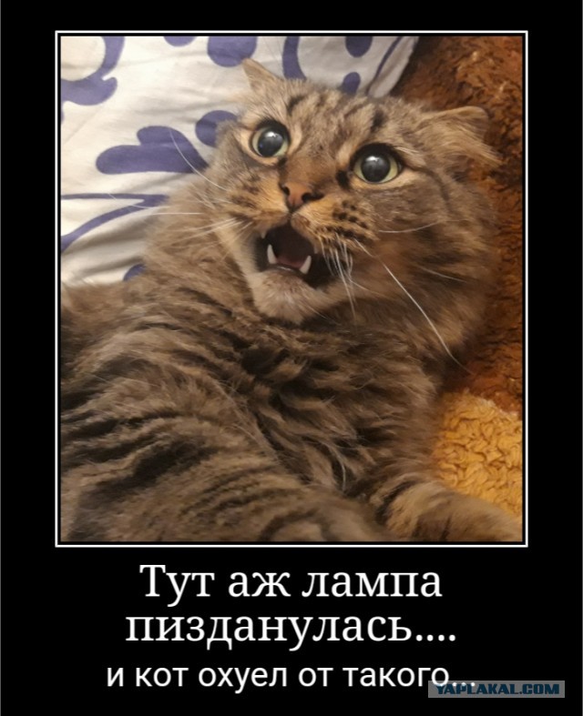 Случаи из практики криминалиста. "И часто он так ходит покурить" ?