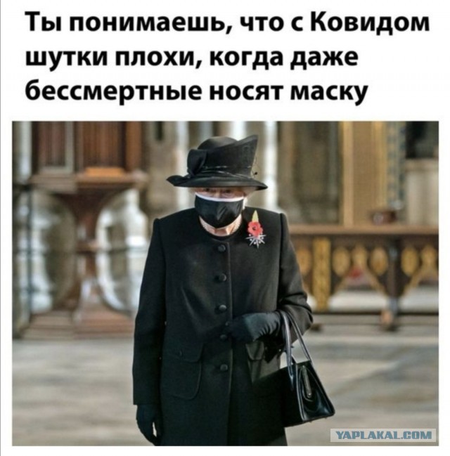 Немного картинок для настроения 12.11.20