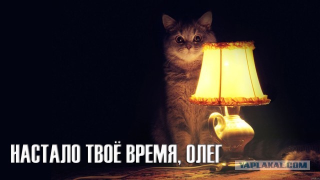 Мошенники придумали опасный способ «развода» автомобилистов на трассе М4 «Дон»