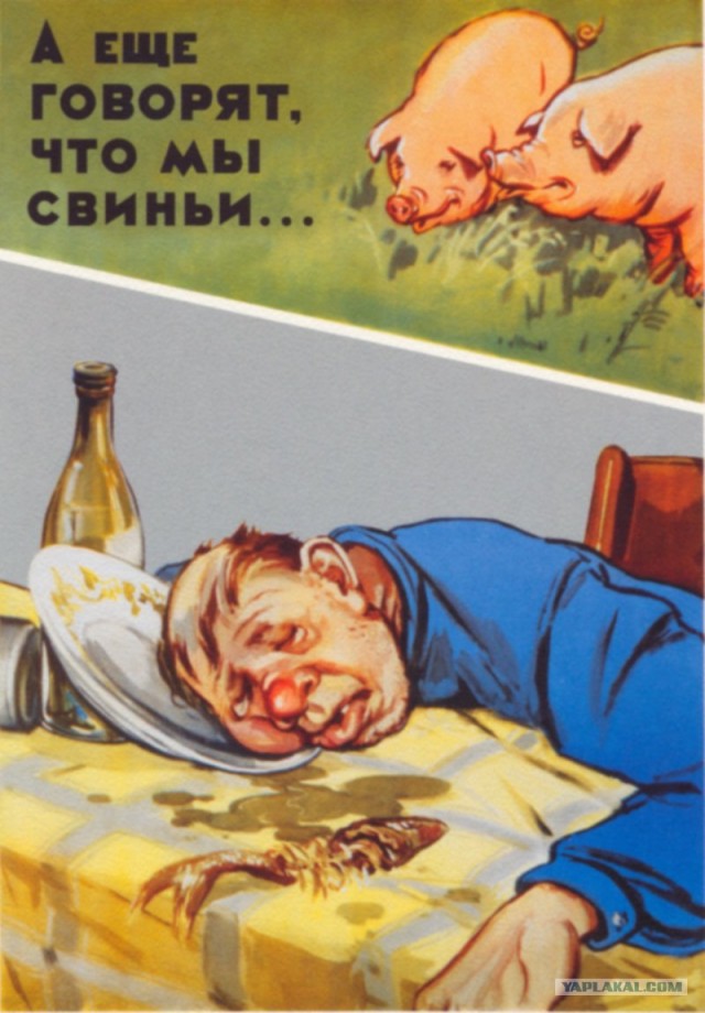 Обогнал автобус - получил подарок в лобовое