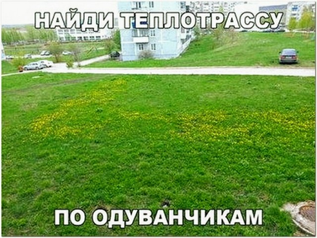 Картинки и мемы для настроения