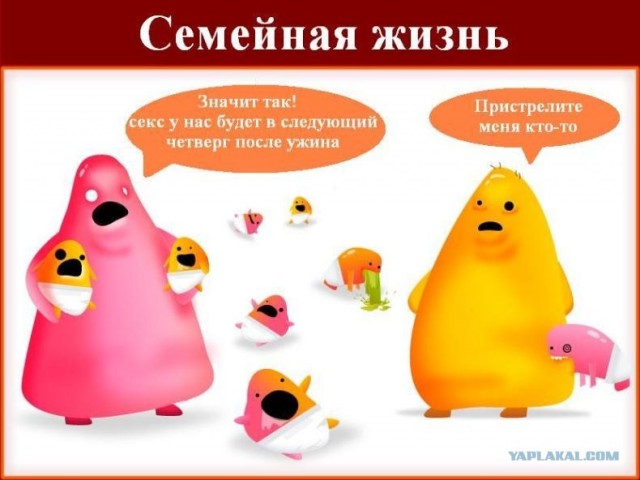 Отношения - вся правда про отношения
