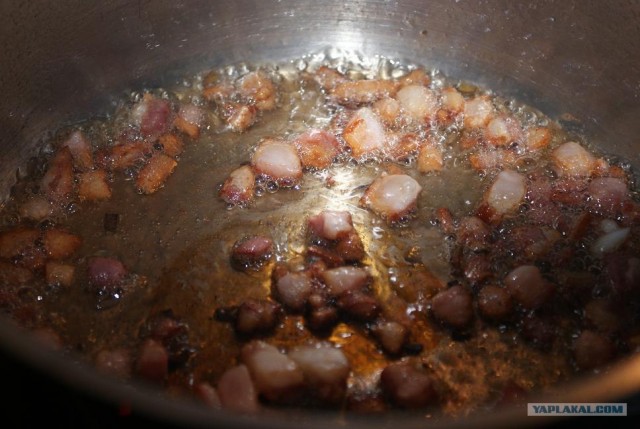 Фасоль – International, Или «Веселые нотки»