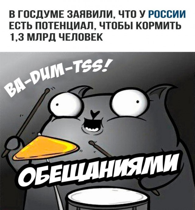 Здесь будет Петербург