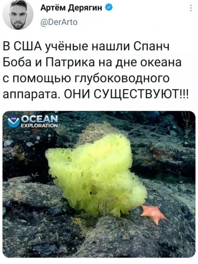 Картинки и мемы для настроения 21.12.21