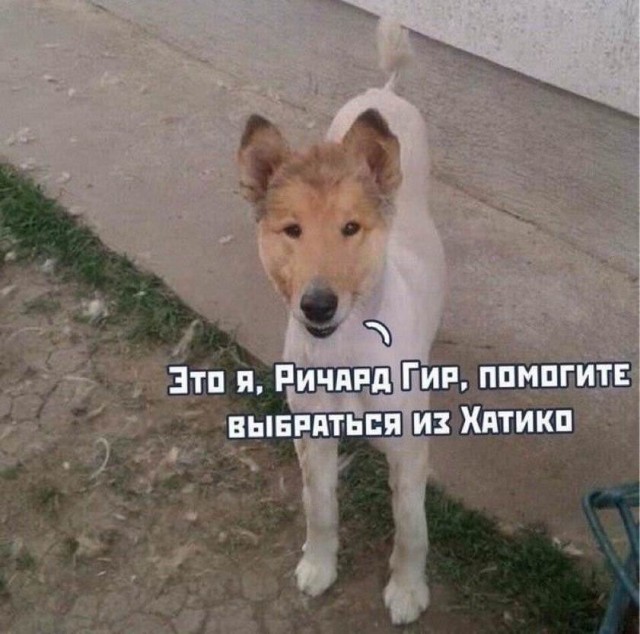 40 картинок разных 20.01.2022
