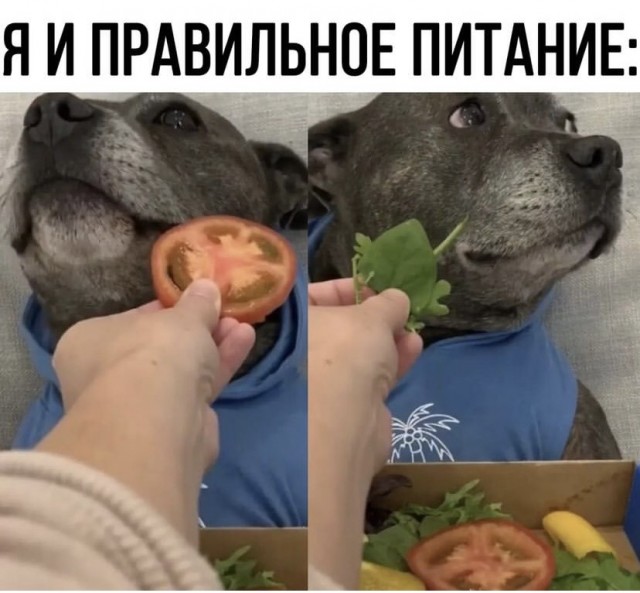 Немного картинок и прочей хреноты Vol. 2