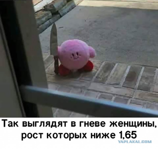 Так себе картинки 30.03.22