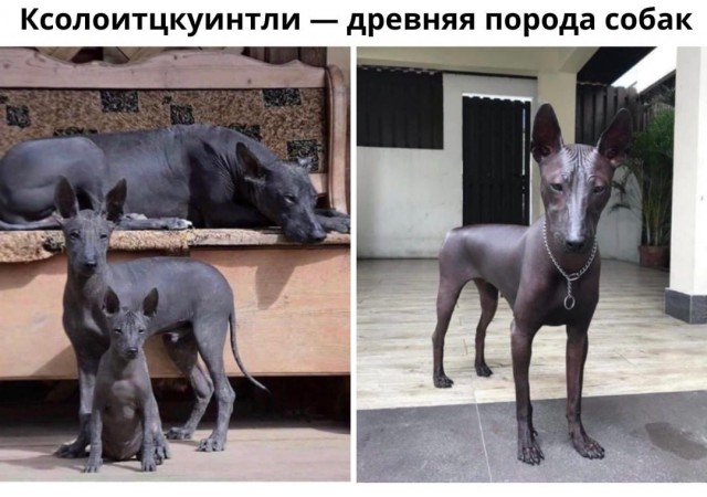 Так себе картинки 03.04.22