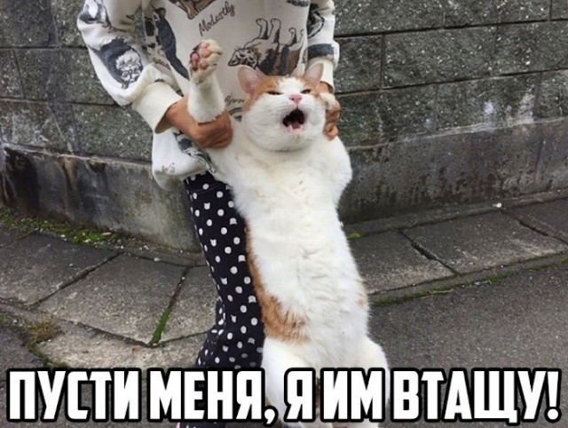 Кто так делает? Я так делаю!