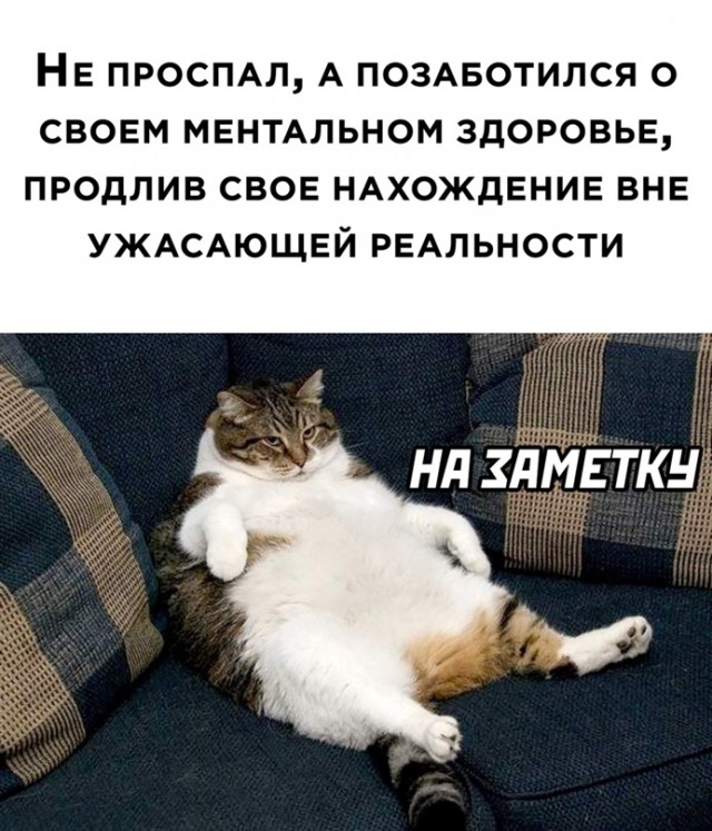 Картинки и мемы, выходные продолжаются