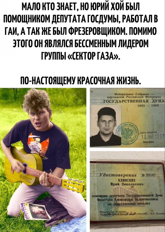 В зелени