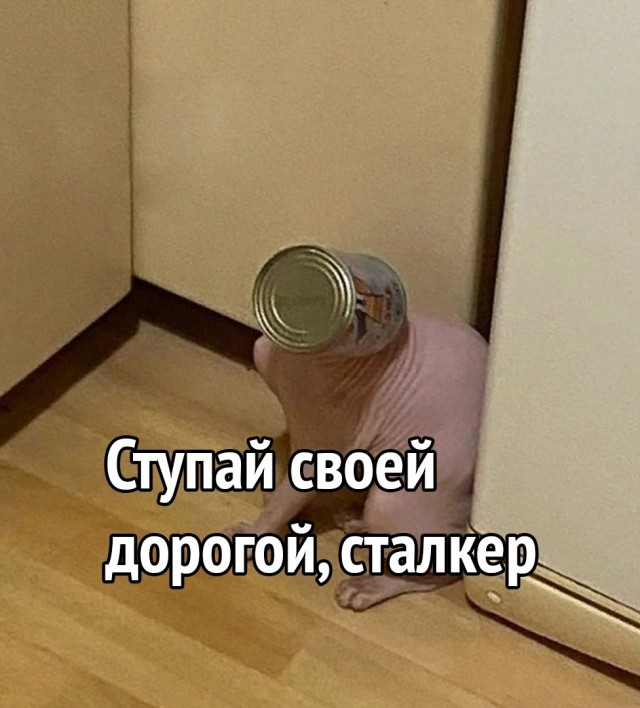 Так себе картинки 18.06.22
