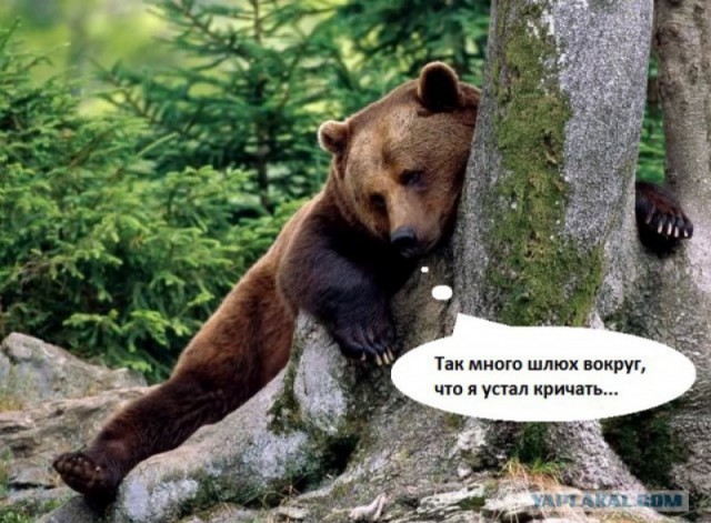 На женских форумах всё стабильно