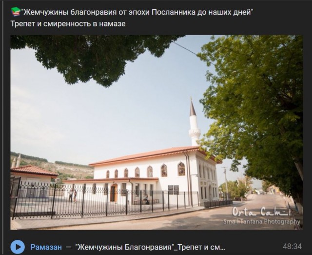 Пандемия съехавших крыш - разновидности болезни. Россия и мир. Часть 37