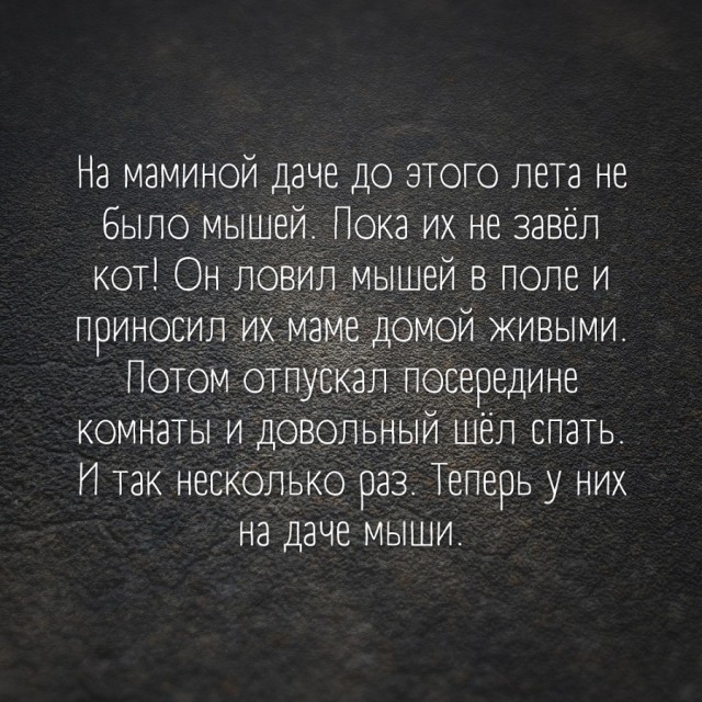 Так себе картинки 06.08.22