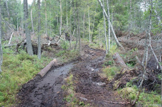 Экспедиция Тамбов-Карелия (бесов нос).