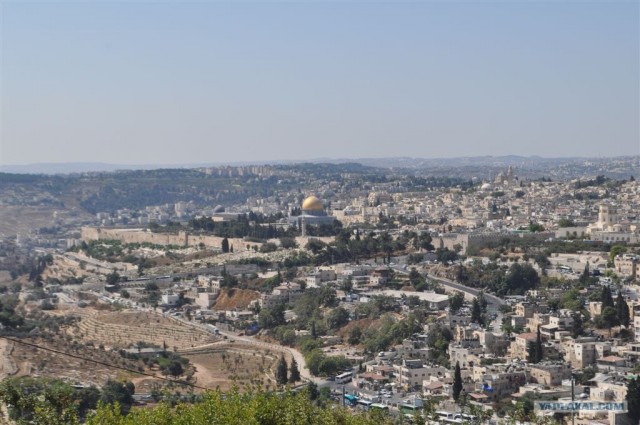 Как я ездил в Египет