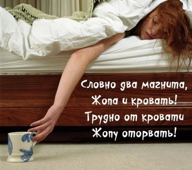 Алкопост  23.12.22