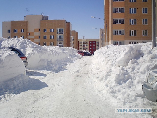 Весна на Камчатке