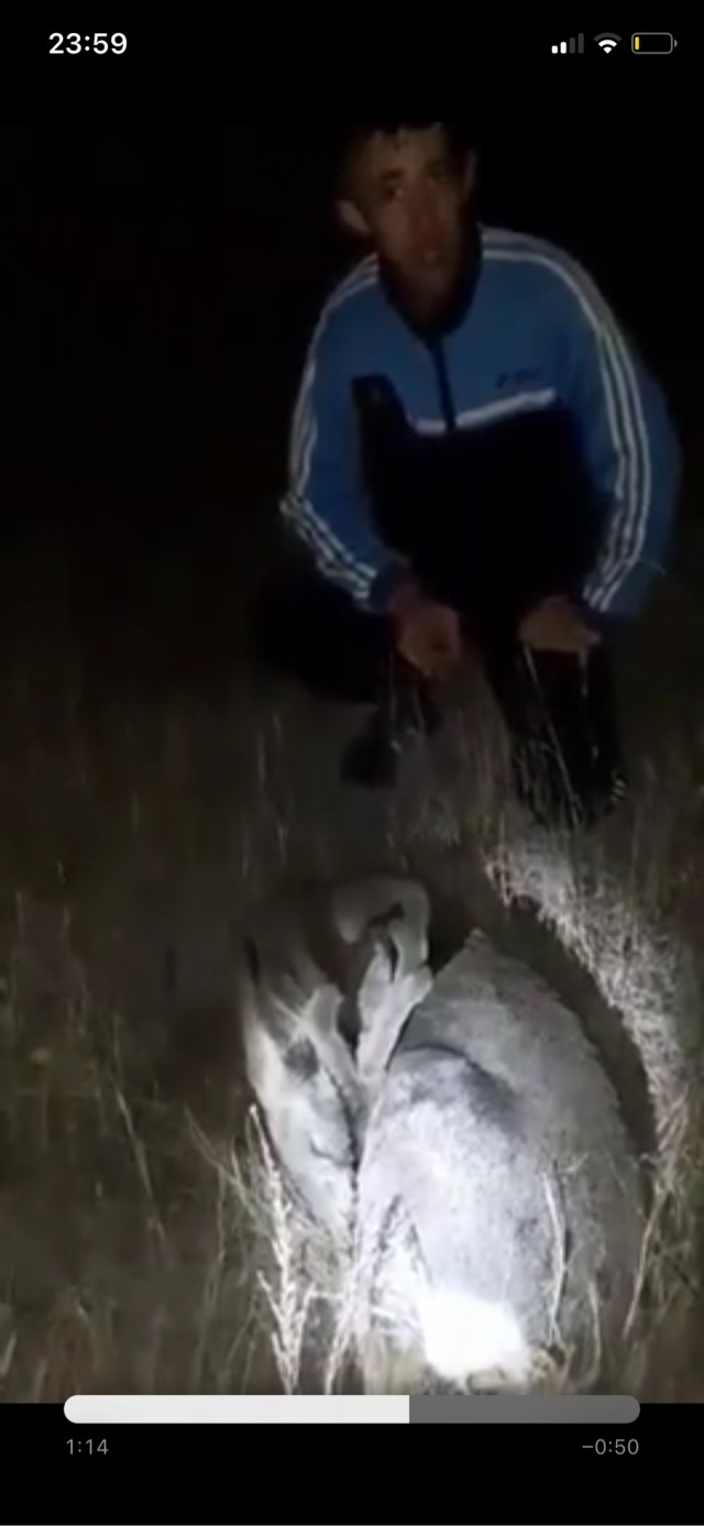 Сон - это хорошо, но не до такой же степени!
