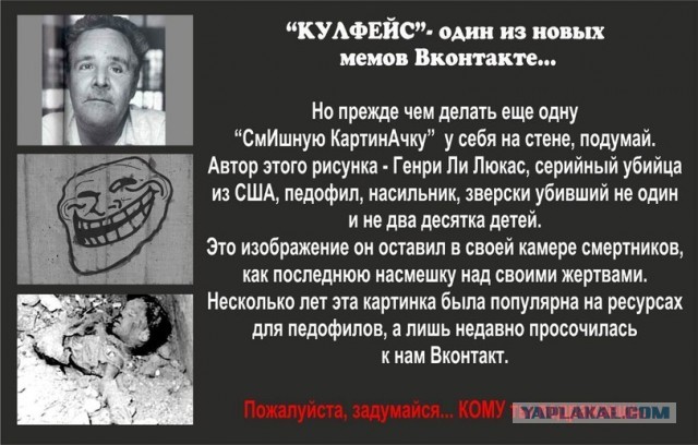 Дом, в который врезаются гуси