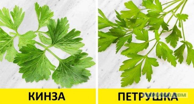 Понюхать надо, иначе не отличишь