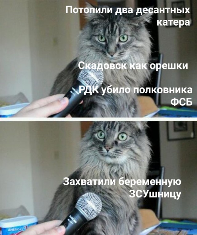 Сегодня, в ходе штурма ВС РФ взяли в плен беременную ВСУшницу