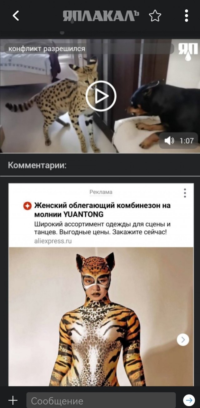 Конфликт разрешился миром