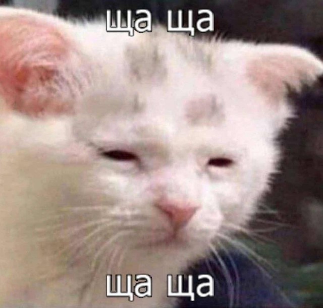 Всего понемногу. От 17.01.24